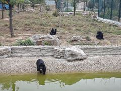 -太原动物园
