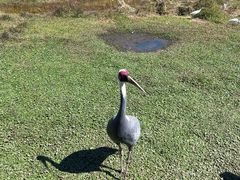 -普洱太阳河森林公园