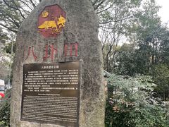 -八卦田遗址公园