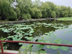 -北陵公园