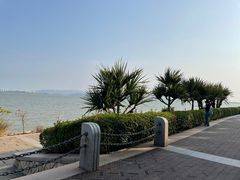 -深圳湾公园(南山区)