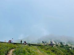 -白草畔自然风景区