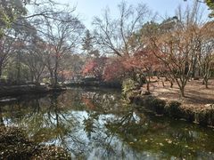 -秋霞圃