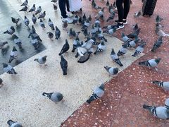 -加泰罗尼亚广场