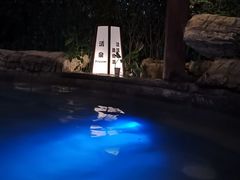 -杭州第一世界大酒店·云曼温泉