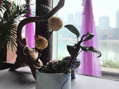 -于塗·文化餐厅(棕榈店)