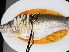 -醉庐·新上海菜(南京西路店)