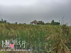 -梁鸿国家湿地公园