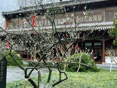 -杭州植物园