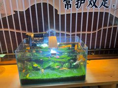 -花天锦地