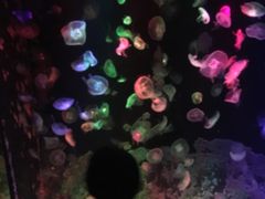 -台州海洋世界