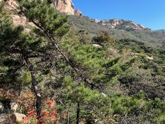 -大泽山风景名胜区