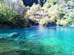 -叠溪松坪沟景区