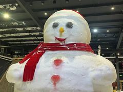 -宁波冰雪大世界(北仑区)