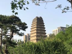 -秦始皇帝陵博物院(兵马俑)