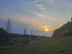 -洨河生态公园