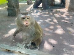 -荆州中山公园动物园