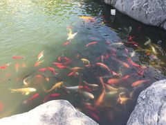 IMG_2152-中国唐苑