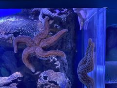 -香港海洋公园