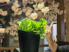 -九田家黑牛烤肉料理(太阳宫广场店)