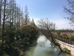 -上海长兴岛郊野公园