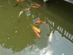 -河北省园博园