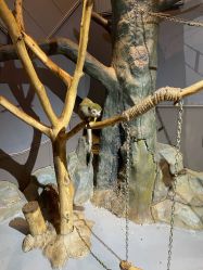 -未来动物城动物主题公园(大悦城店)