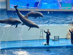 -福州罗源湾海洋世界旅游区