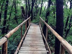 -吊水壶国家森林公园