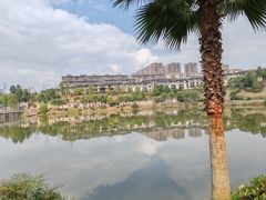 -枫香湖儿童公园