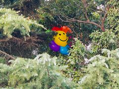 -五四广场