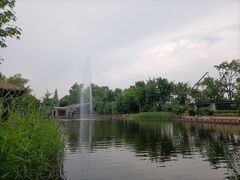 -成飞公园