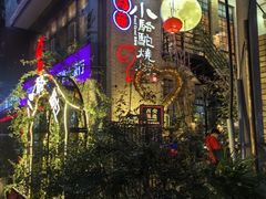 -福苗小骆驼烧烤(莲湖路店)