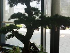 -潮上潮(南中环店)