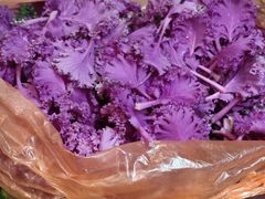 -岳各庄批发市场(西四环中路店)