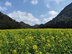 -广州市石门国家森林公园