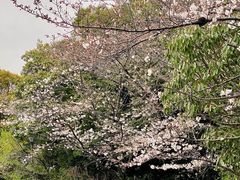 -热田神宫