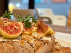 -Elephant Grounds(STARSTREET)