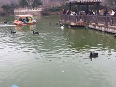 -无锡动物园·太湖欢乐园