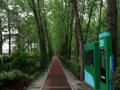 -合肥滨湖国家森林公园