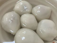 鲜肉汤圆-祥记汤圆(东宝兴路店)