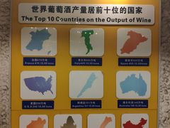 -青岛葡萄酒博物馆