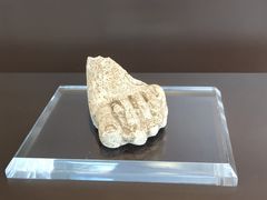 -曼谷国家博物馆