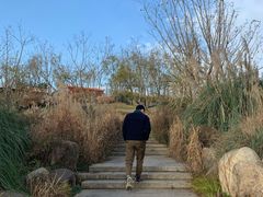 -三圣花乡旅游区