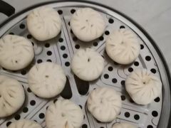 -田螺阿姨自营月嫂·育儿嫂(高新店)