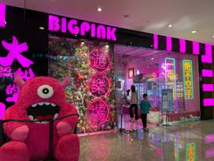 -BIG PINK大粉娃娃机主题馆(圆融星座店)