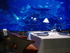 -迪拜帆船酒店海底餐厅