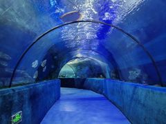 -梦幻海洋王国(吾悦广场张家港店)