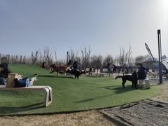 -爪吧宠物乐园·宠物泳池(温榆河示范区店)