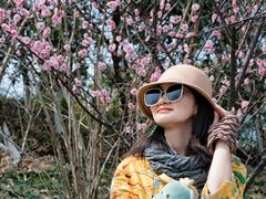 -瑶湖郊野森林公园